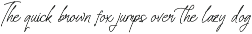 Gorgeous and Elegant Signature Font preview