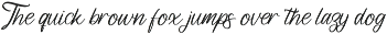 Gorgeous and Elegant Signature Font preview