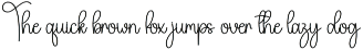 Delicate | Script Font preview