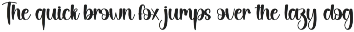 Donkey | Script Font preview