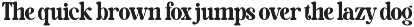 Mocha Brown - Unique Retro Font preview