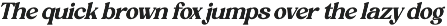 Rustic Delight - Bold Serif Font preview