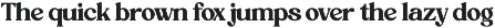 Rustic Delight - Bold Serif Font preview