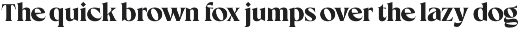 TNSC Glifta - Display Serif font preview