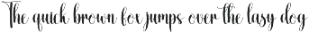 Student | Script Font preview