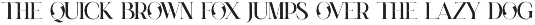 Moniko - Elegant Serif Font preview