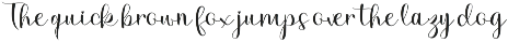 Gina Script preview