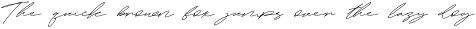 Bellagio Signature Font Duo preview