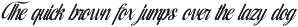 Kameli Antares Modern Calligraphy preview