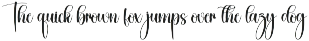 Drinking | Script Font preview