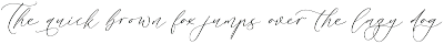 Andore Roselan Elegant Calligraphy preview