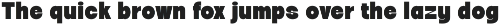 CS Shelton – Bold Font preview