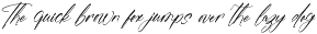 Midnight Saturday Stylish Font preview