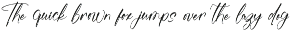 Midnight Saturday Stylish Font preview