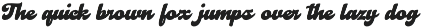 VinlandNealdh -Script Retro Typeface preview