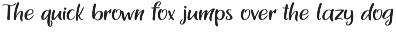 Premium Fonts Collection font preview
