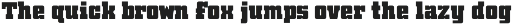 OVERKILL CONDENSED Collection preview