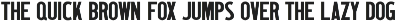Wood Type Grotesk JNL preview