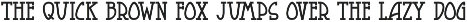 Raccoon Coat JNL font preview