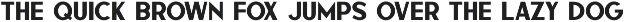 Sign Sans JNL preview