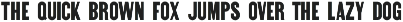 Early Edition JNL preview