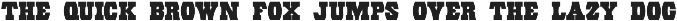 Eccentric Wood Type JNL preview
