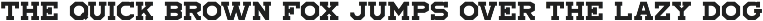 Local Druggist JNL preview