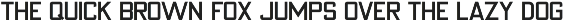 Stenographer JNL preview