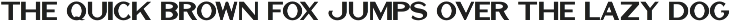 Show Card Sans JNL preview