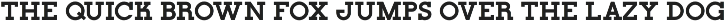 Cinema Serif JNL preview