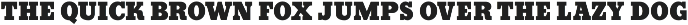 Serif Formal JNL preview