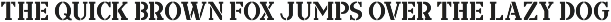 Screen Stencil JNL preview
