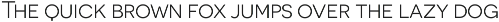 Novecento Sans preview