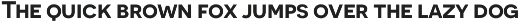 Novecento Sans preview