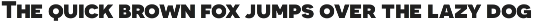 Novecento Sans preview