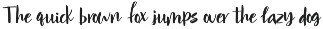 Premium Fonts Collection font preview