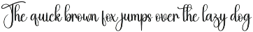 Digital | Script Font preview
