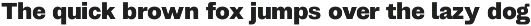 403 Grotesk preview
