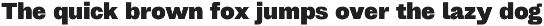 403 Grotesk preview