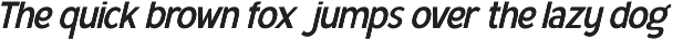 Bener Meriah - Sans Serif Family preview