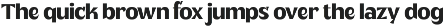Plenary - A Lovely Sans Display preview