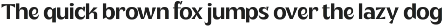 Plenary - A Lovely Sans Display preview