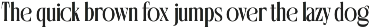 Boresh - Condensed Serif Font preview