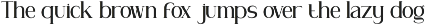 Geogira - Family Serif Typeface preview