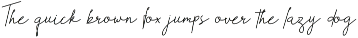 Teliti Signature Script preview