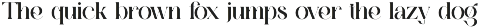 Magins Vintage Serif Font preview