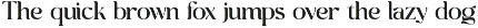 Ganige Elegant Serif Font preview