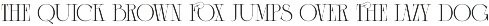Fox Thess Elegant Serif Font preview