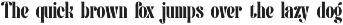 Pany Anemov | Modern Display Serif preview