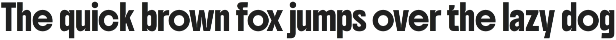 UT Boldonse - A Bold Condensed Font preview